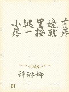 小腿里边有硬疙瘩一按就疼