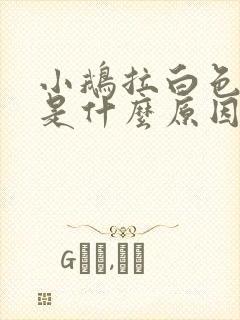 小鹅拉白色水便是什么原因