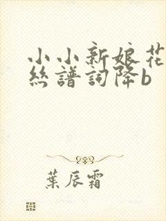 小小新娘花葫芦丝谱词降b