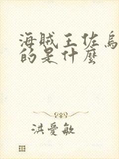 海贼王佐乌篇讲的是什么