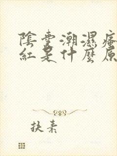 阴囊潮湿瘙痒发红是什么原因造成的