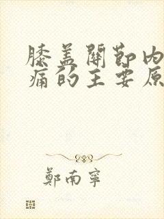 膝盖关节内侧疼痛的主要原因