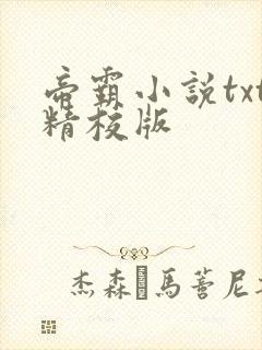 帝霸小说txt精校版封面