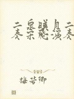 二泉映月二胡独奏宋飞演奏