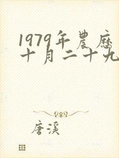 1979年农历十月二十九的命运