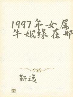 1997年女属牛姻缘在哪年最旺盛
