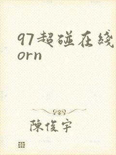 97超碰在线porn封面