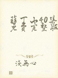 薛丁山40集全免费完整版