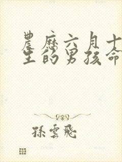 农历六月十六出生的男孩命运封面