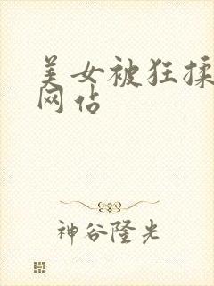 美女被狂揉大胸网站