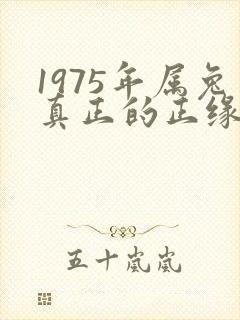 1975年属兔真正的正缘在二婚