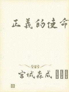 正义的使命小说