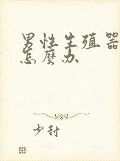 男性生殖器弯了怎么办