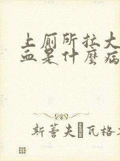 上厕所拉大便出血是什么病