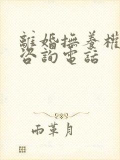 离婚抚养权律师咨询电话