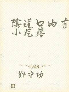 阴道口内有很多小疙瘩