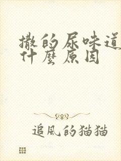 撒的尿味道重是什么原因