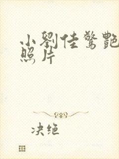 小刘佳惊艳高清照片