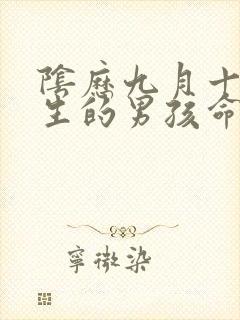 阴历九月十五出生的男孩命运怎么样