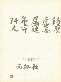 74年属虎的女人命运怎么样