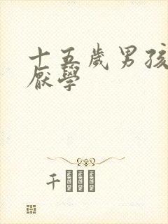 十五岁男孩叛逆厌学封面