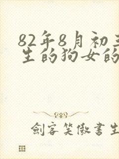 82年8月初三生的狗女的命运