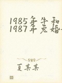 1985年牛和1987年兔婚姻