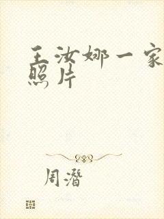 王汝娜一家三口照片