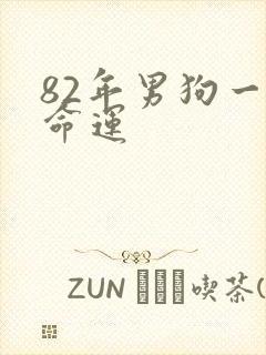82年男狗一生命运