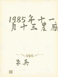 1985年十一月十三农历出生命运
