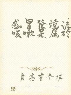 感冒发烧流鼻涕咳嗽是属于什么感冒