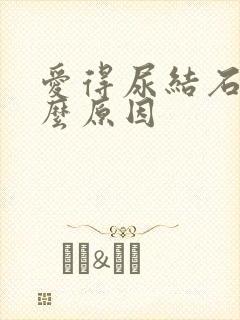 爱得尿结石是什么原因