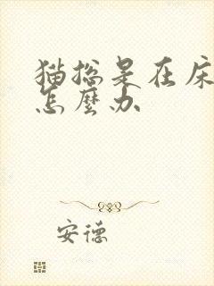 猫总是在床上尿怎么办