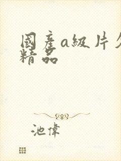 国产a级片久久精品封面