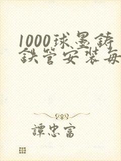 1000球墨铸铁管安装每米多少钱封面