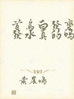 首乌白发变黑洗发水真的吗