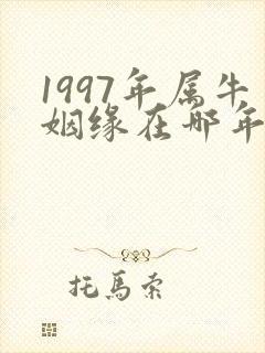 1997年属牛姻缘在哪年最旺盛