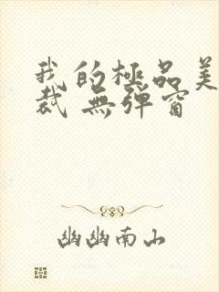 我的极品美女总裁 无弹窗封面