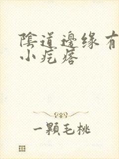 阴道边缘有很多小疙瘩