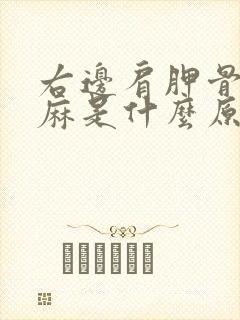 右边肩胛骨疼手麻是什么原因引起的