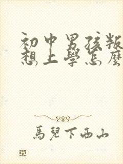 初中男孩叛逆不想上学怎么办