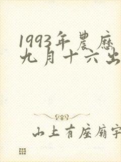 1993年农历九月十六出生人的命运封面