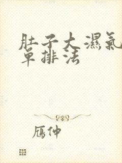 肚子大湿气重简单排法