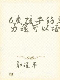 6岁孩子的专注力还可以培养吗