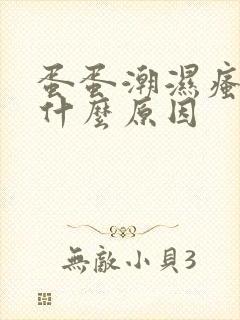 蛋蛋潮湿瘙痒是什么原因