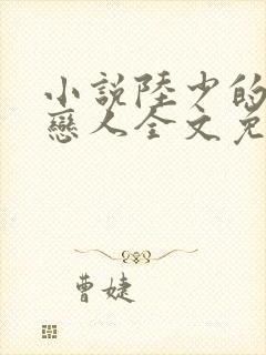 小说陆少的秘密恋人全文免费阅读封面