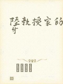 陆教授家的小月牙