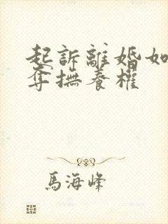 起诉离婚如何争夺抚养权