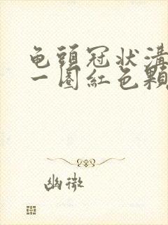 龟头冠状沟长了一圈红色颗粒封面