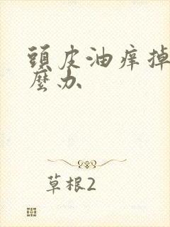 头皮油痒掉发怎么办封面